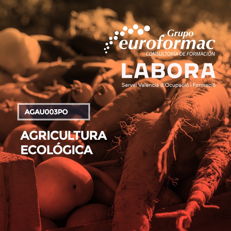 AGRICULTURA ECOLÓGICA