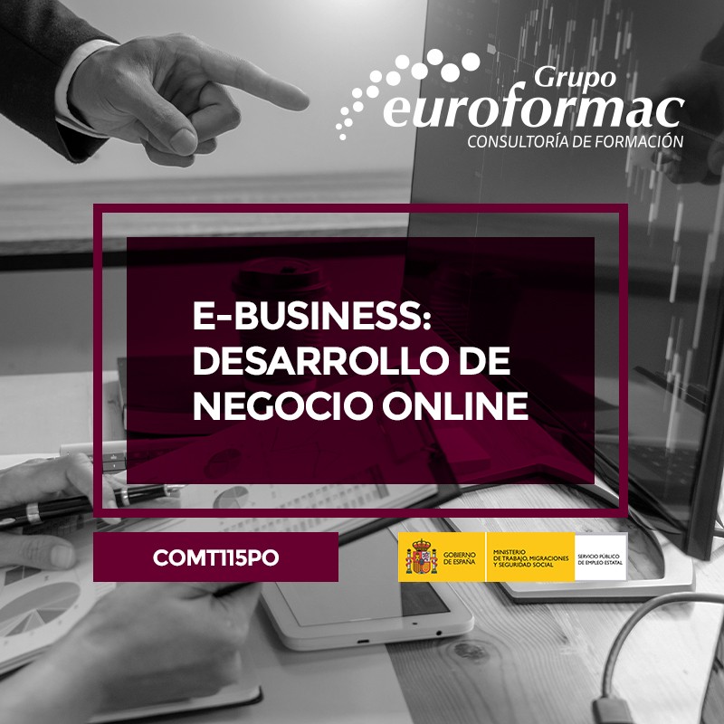 E-BUSINESS: DESARROLLO DE NEGOCIO ONLINE