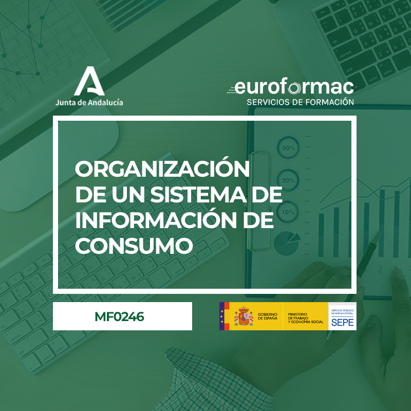 ORGANIZACIÓN DE UN SISTEMA DE INFORMACIÓN DE CONSUMO (MF0246_3)