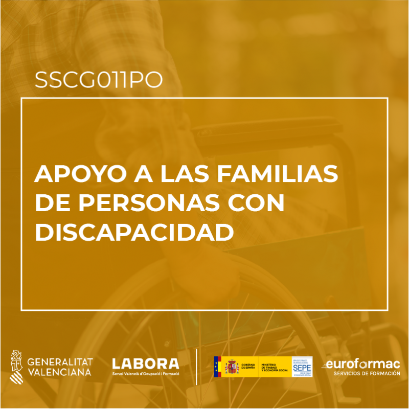 APOYO A LAS FAMILIAS DE PERSONAS CON DISCAPACIDAD