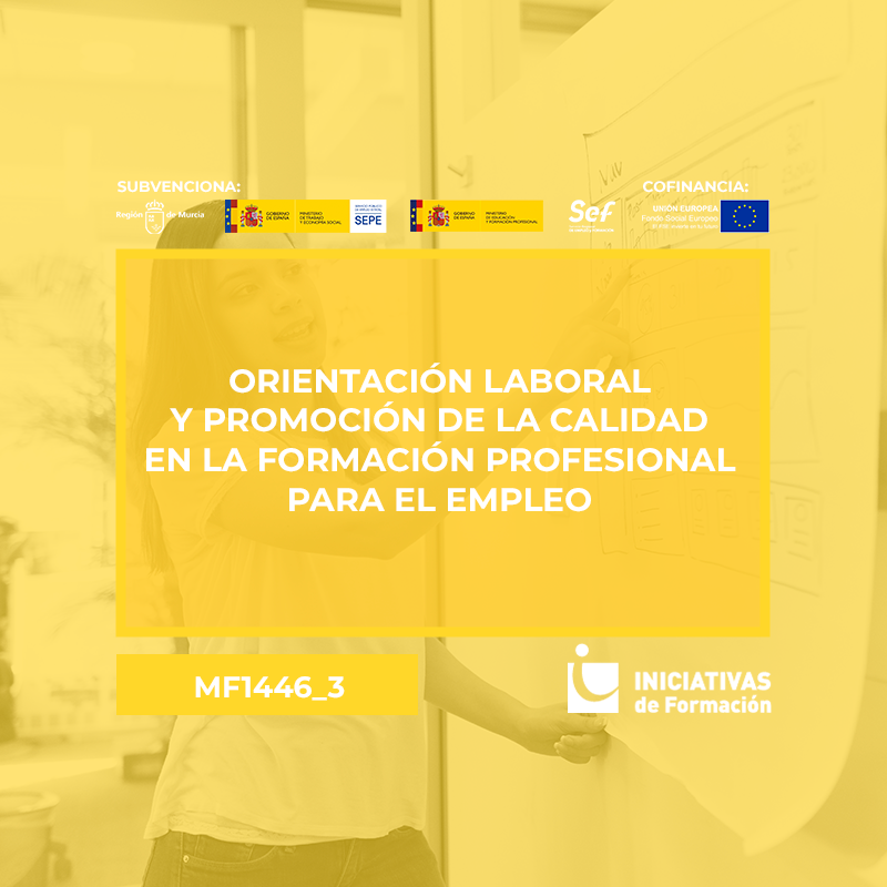 ORIENTACIÓN LABORAL Y PROMOCIÓN DE LA CALIDAD EN LA FORMACIÓN PROFESIONAL PARA EL EMPLEO (MF1446_3) ORIENTACIÓN LABORAL Y PROMOCIÓN DE LA CALIDAD EN LA FORMACIÓN PROFESIONAL PARA EL EMPLEO (MF1446_3)